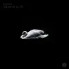 Somnium - EP album lyrics, reviews, download