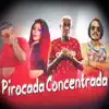 Stream & download Pirocada Concentrada (feat. MC Gw & Karen da Provi) [BregaFunk Remix] - Single