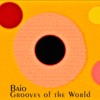 Grooves of the World - Single