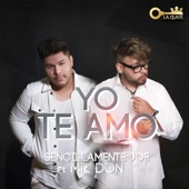 Yo Te Amo (feat. Mr. Don) artwork