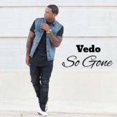 Vedo - So Gone