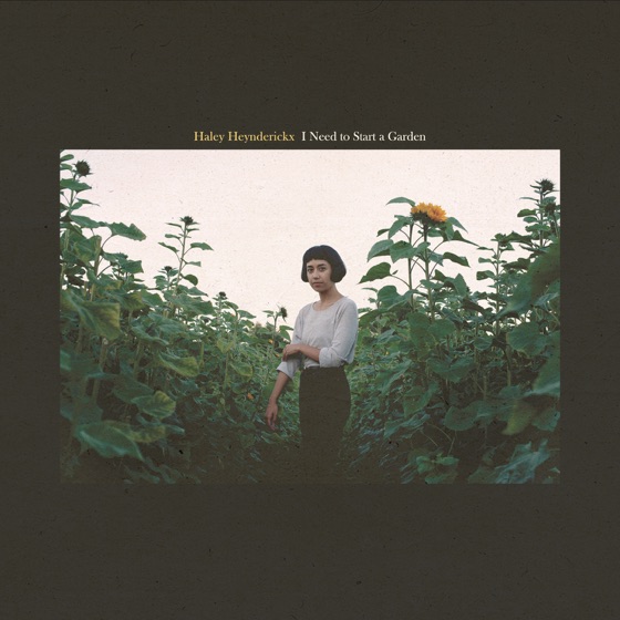 Cover artwork for The Bug Collector