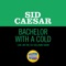 Bachelor With A Cold (Live On The Ed Sullivan Show, December 6, 1964) - Single