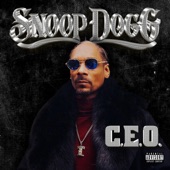 CEO artwork