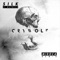 Silk (Midoca Remix) [feat. Midoca & Mothica] - Crywolf lyrics