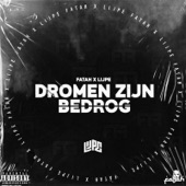 Dromen Zijn Bedrog artwork