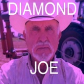 The Onlies - Diamond Joe