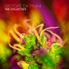 The Collective - Groove da Praia