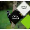 Calm Jungle - Natural Lands album lyrics, reviews, download