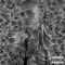 Bluebrywds - Shon Plant lyrics