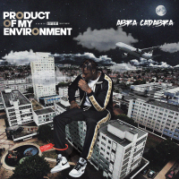 Abra Cadabra - Product of My Environment artwork