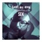 DK's Moo Thing - Sek lyrics