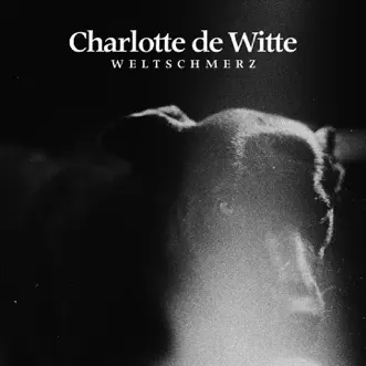 Relatives of None by Charlotte de Witte song reviws