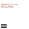 Tot Sum (feat. Lil Chief) - King Devo lyrics