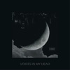 Voices in My Head - Single