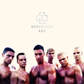 Herzeleid (XXV Anniversary Edition – Remastered) artwork