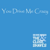 You Drive Me Crazy (feat. The Close Shaves) artwork