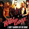 Wild Boyz - I Don't Wanna Cry No More