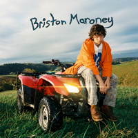 descargar bajar mp3 Sunflower - Briston Maroney