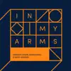 In My Arms (Qubiko Extended Remix) song lyrics