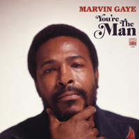 Marvin Gaye - You're the Man artwork