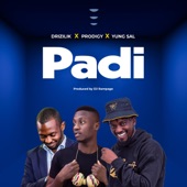 Padi (feat. Drizilik, Prodigy & Yung Sal) artwork