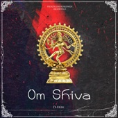 Om Shiva artwork