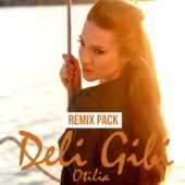 Deli Gibi (Remix Pack) artwork