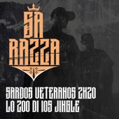 sardos veteranos 2k20 lo zoo di 105 jingle artwork