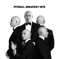 Pitbull - Hotel room service