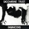 Effort to Waste - Saccharine Trust lyrics