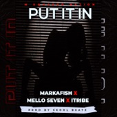 Put It In (feat. Mello Seven & Itribe) artwork