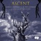 Ascent (feat. Habib Meftah) artwork