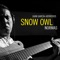 Impulso Interno (feat. Conrad Schrenk) - Snow Owl lyrics