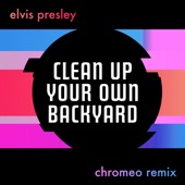 Clean Up Your Own Backyard (Chromeo Remix) artwork