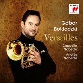 Oboe Concerto in E Minor (Arr. for trumpet and orchestra by Gábor Boldoczki): IV. Allegro artwork