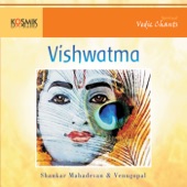 Vishwatma artwork