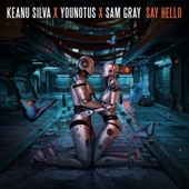 Say Hello artwork