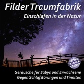 Starker Wind, Regen und Donner für Meditation und Tiefenentspannung artwork