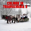 Colinde In Transilvania, Vol. 2, 2009