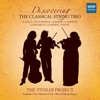 The Vivaldi Project - Trio in F Major, Op. 20, No. 2: III. Allegro assai