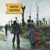 Napoli Centrale - Campagna (A)
