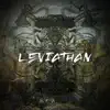 Leviathan (Radio Edit) [Radio Edit] - Single album lyrics, reviews, download