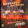 Puras Cumbias en Vivo album lyrics, reviews, download