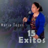 15 Éxitos