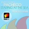 Staring at the Sea (feat. Pacheco) - Single, 2010
