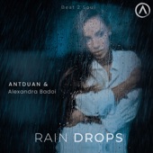 Rain Drops artwork