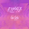 EXHALE [Pink Panda Remix] (feat. Sia) - Single album lyrics, reviews, download