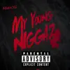 My Young N****s - Single album lyrics, reviews, download