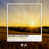 Fields of Gold (Extended Mix) artwork
